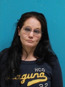 Mugshot of WATERS, STACY  