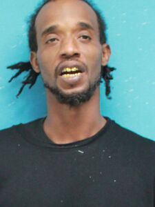 Mugshot of WISEMAN, DARRELL