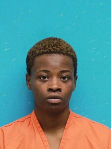 Mugshot of JOHNSON, TAMERA