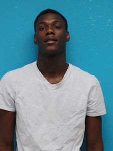 Mugshot of HUDSON, JIMMY
