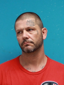 Mugshot of MITCHELL, JOHN