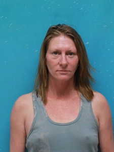 Mugshot of JOHNSON, CONSTANCE  