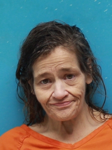 Mugshot of BENNETT, LORI