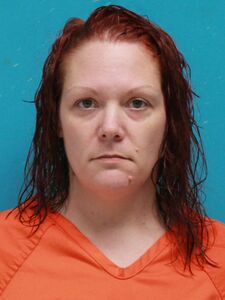 Mugshot of CHAPMAN, SASHA