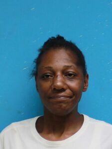 Mugshot of SMITH, PAIGE  