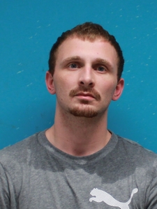 Mugshot of HANKS, ANDREW