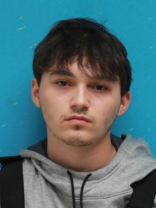 Mugshot of LUCAS, TRAY