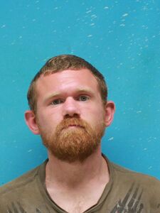 Mugshot of BREWER, MICHAEL