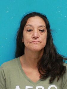 Mugshot of SCHOEN, LISA