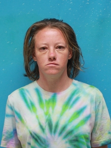 Mugshot of WARNER, JESSICA