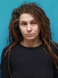 Mugshot of COOK, HALEIGH