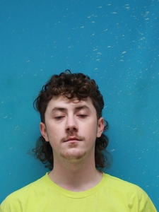 Mugshot of MILES, PAYTON