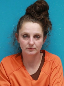 Mugshot of HARRIS, STACEY