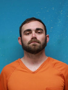 Mugshot of RILEY, DYLAN