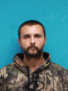Mugshot of HOLLAND, TRAY