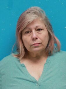 Mugshot of WIDEL, DEBBIE