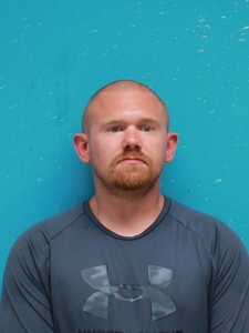 Mugshot of BREWER, MICHAEL