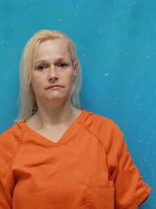 Mugshot of SNIDER, ALISHA