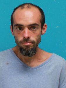 Mugshot of ARTHUR, BRANDON