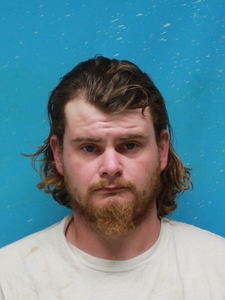 Mugshot of MORSE, BRODY  