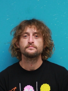 Mugshot of SMITH, BRADLEY