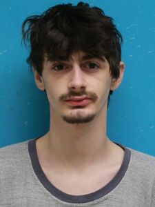 Mugshot of CLOWES, LEVI