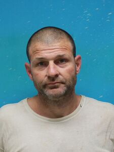 Mugshot of THORNBERRY, BRANDON