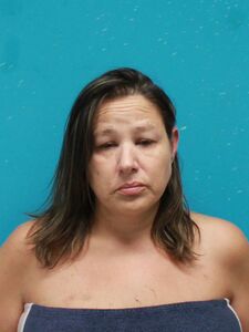 Mugshot of HORTON, HEATHER