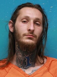 Mugshot of WATKINS, TANNER