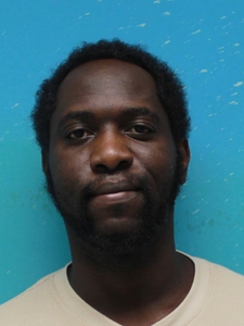 Mugshot of WILLIAMS, LAMICHAEL  