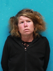 Mugshot of WORLEY, CARRIE