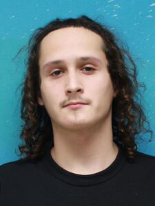 Mugshot of APPLETON, GREER,