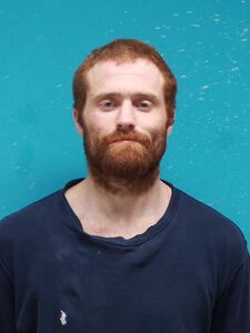 Mugshot of WALLER, JAMES