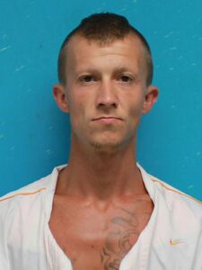 Mugshot of BROWN, JESSE