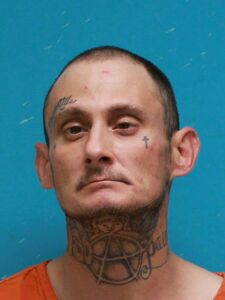 Mugshot of PARMER, RONNIE