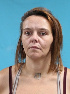 Mugshot of DURBIN, STEPHANIE