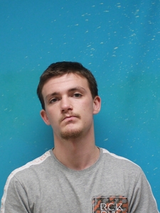 Mugshot of BROWN, SEAN