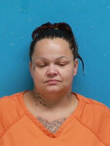 Mugshot of VANDAWALKER, MICHELLE  