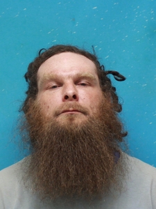 Mugshot of ERLBACHERCANOY, LEVI  