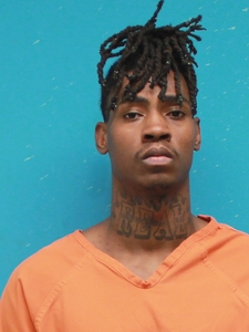Mugshot of WILLIS, TERRY