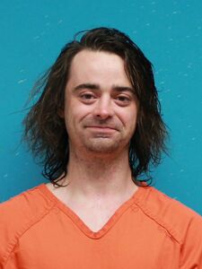 Mugshot of DONNINI, NATHAN
