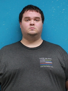 Mugshot of BROWN, STEVEN