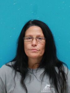 Mugshot of ROBBINS, AMY