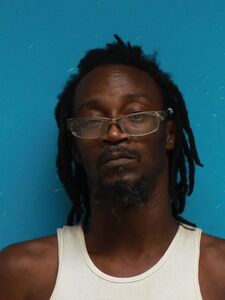 Mugshot of VENSON, CHAD