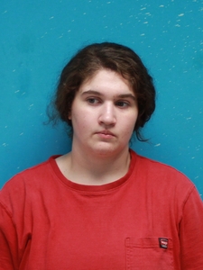Mugshot of CHILDERS, LOREN