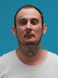 Mugshot of PARMER, RONNIE