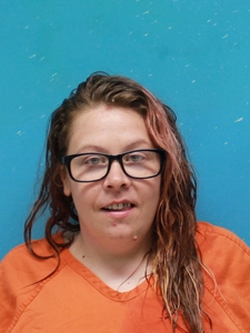 Mugshot of VOELKER, PAIGE