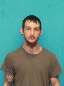 Mugshot of OZMENT, JAMIE