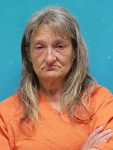 Mugshot of ELLIOTT, GINA