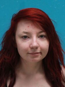 Mugshot of JOHNSON, HARPER